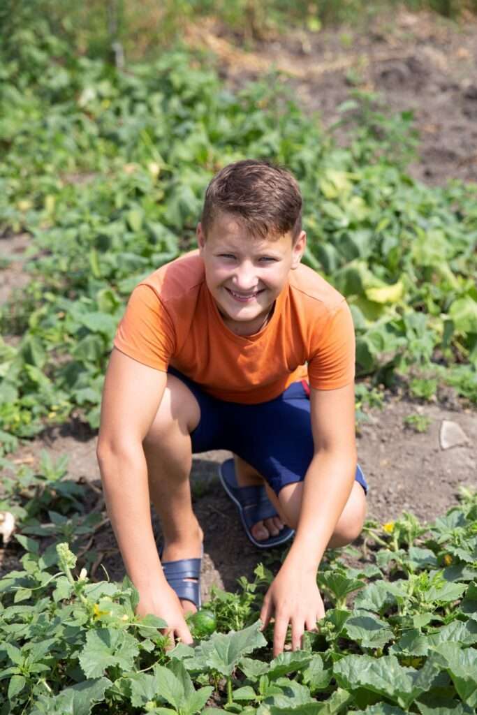 Mircea gardening